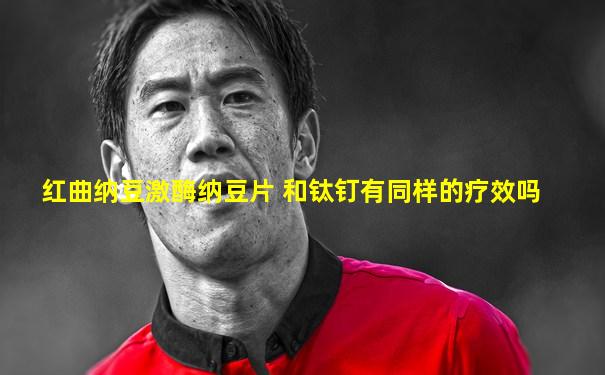 红曲纳豆激酶纳豆片 和钛钉有同样的疗效吗